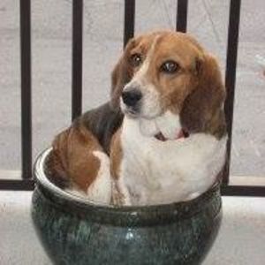 Meet your Posher, Martha